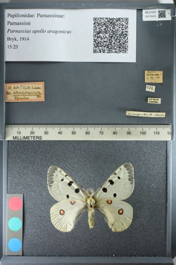 Media type: image;   Entomology 175475